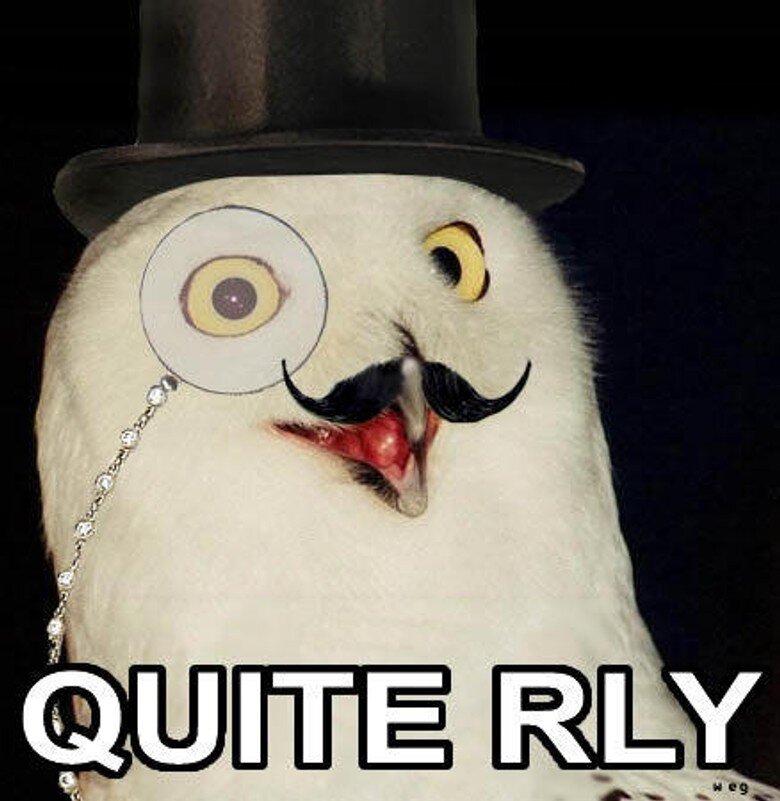     Вариант мема O RLY? Источник: Know Your Meme