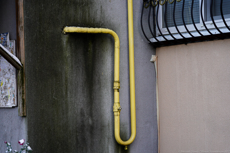 Фото: Виталий Невар / Новый Калининград