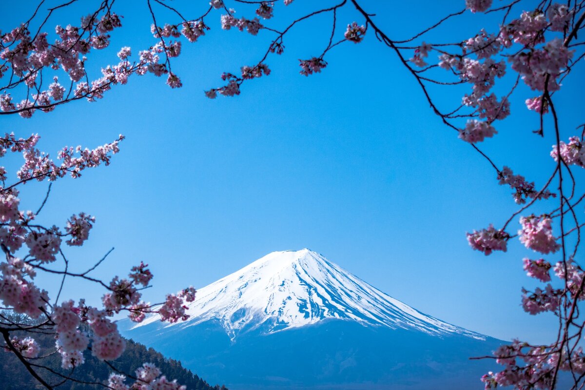 Японские патчи для глаз: секрет здоровья и красоты
