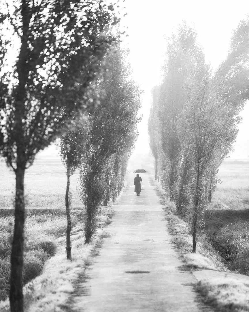 фотограф mokyeon__11