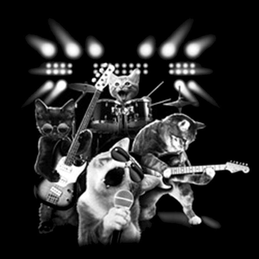 Кот рокер рисунок