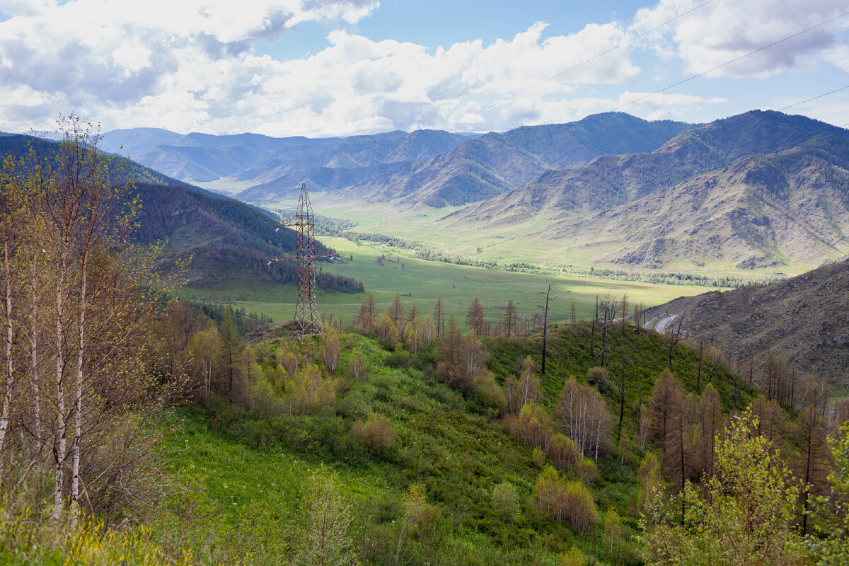 Алтай панорама с верхушки горы чугунка