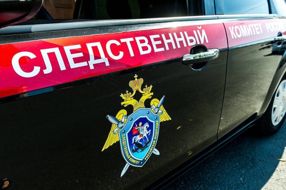    Следственный комитет займется расследованием избиения отца 13 детей в Приморском районе Петребурга Олег ЗОЛОТО