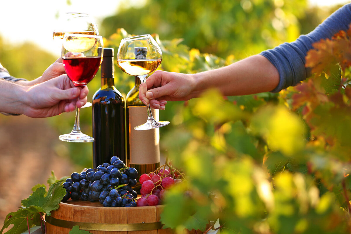 Энотуризм. Шато Андре винодельня. Armenia Wine винодельня. Азербайджан путешествие винодельня. День винного туризма (Wine Tourism Day).
