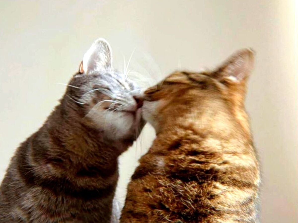 Из интернета