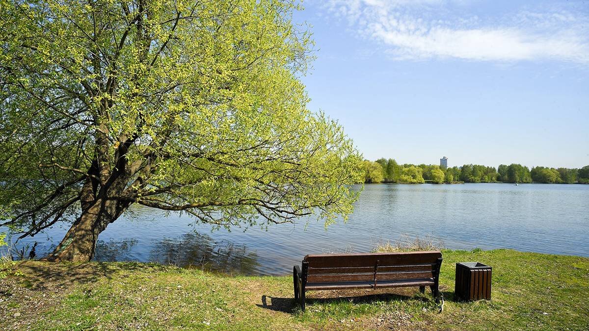    Фото: Сергей Киселев / АГН Москва