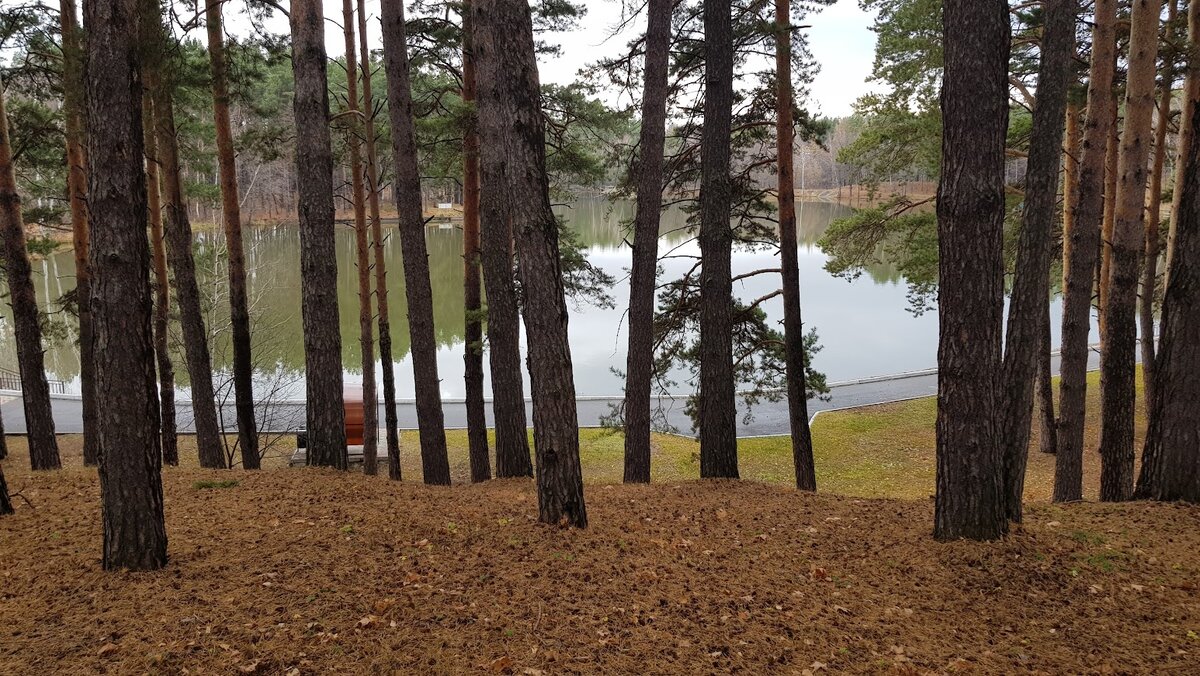 Природа санатория "Ромашкино"