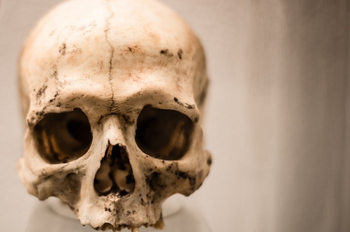    Мужчина нашел кости во время разбора мусора.