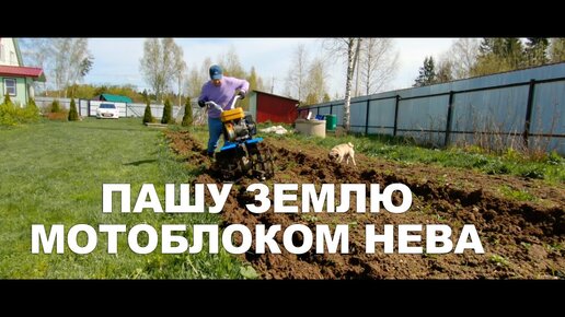 Tải video: Пашу землю на мотоблоке Нева, для посадки картошки