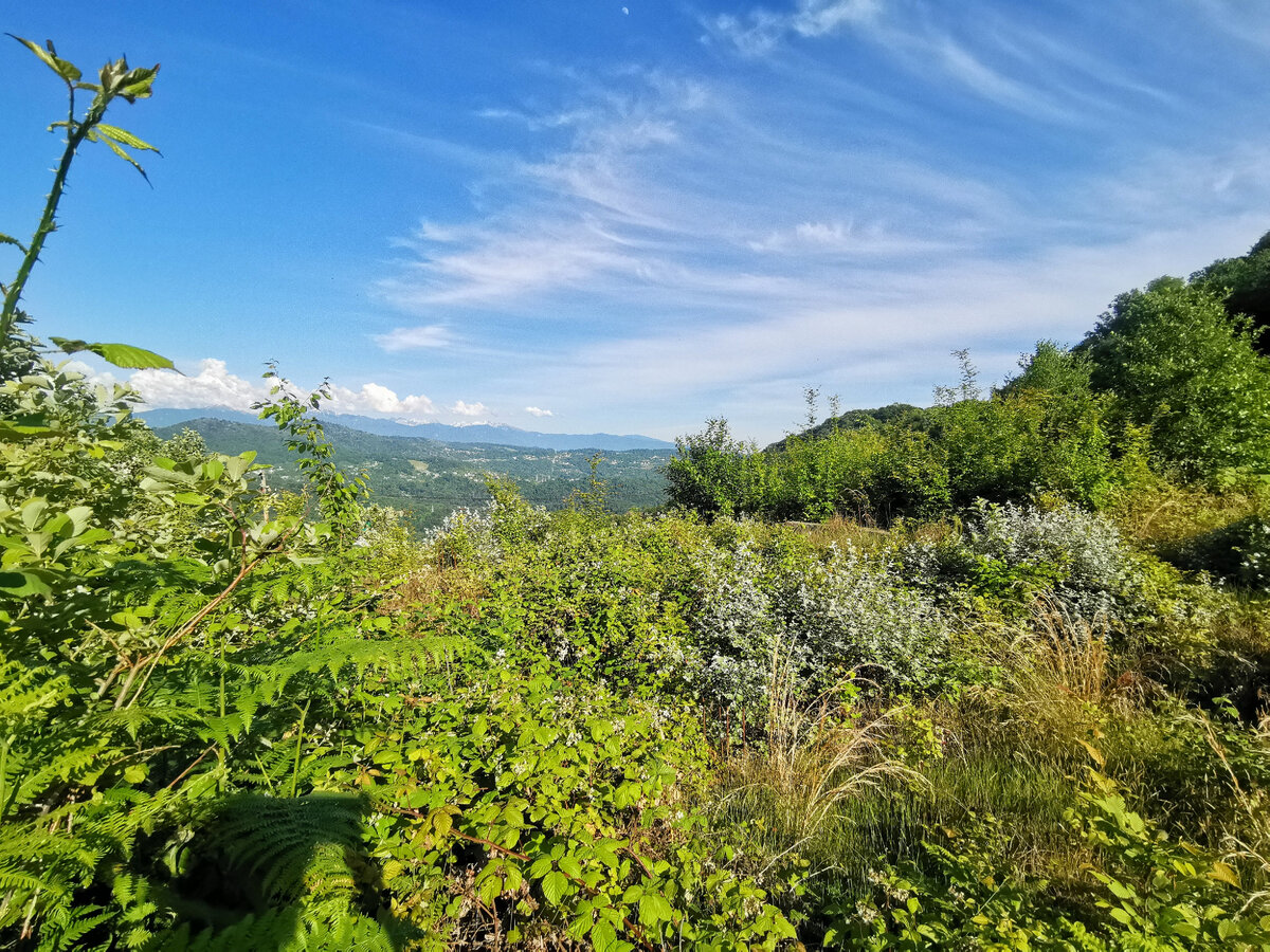 Участок с прекрасным видом