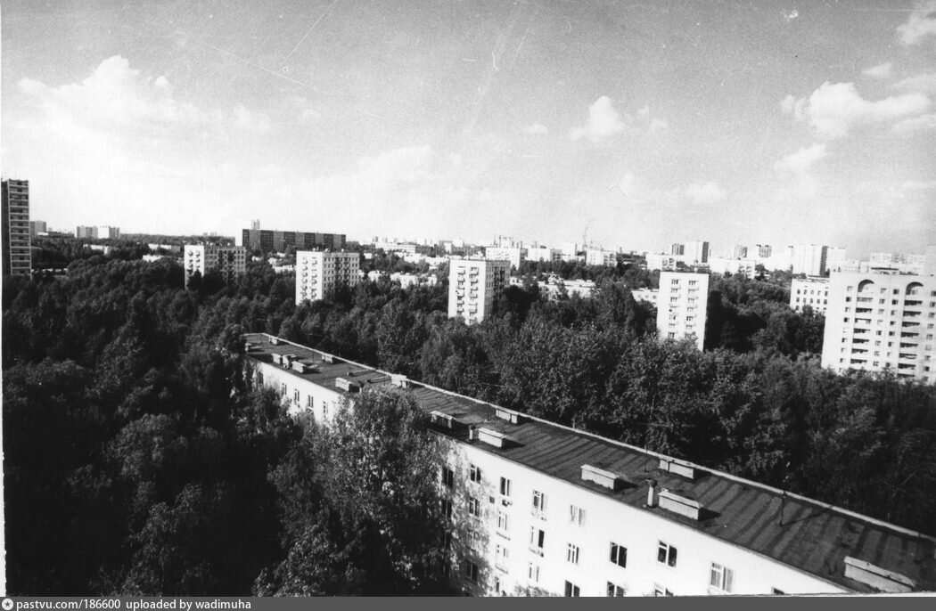 Березовая аллея москва старые