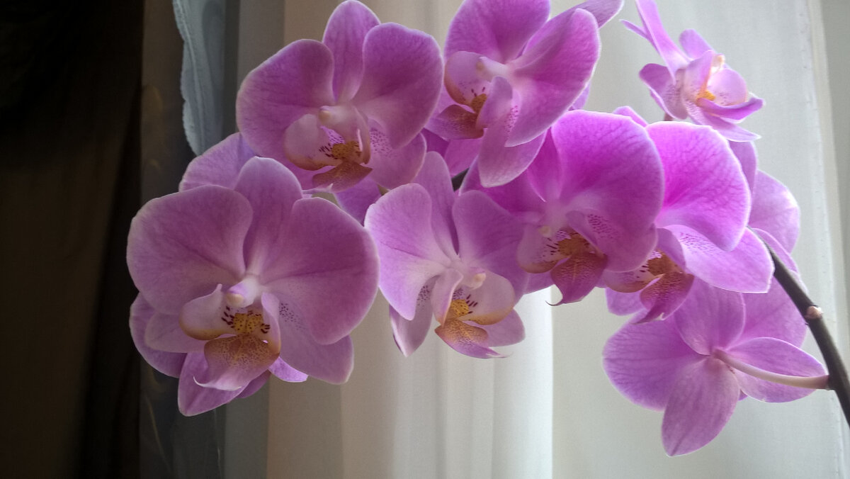 Красота, как известно, СПАСЁТ МИР. Мы Все стремимся к КРАСОТЕ, выбирая для СЕБЯ красивые Жилища, Красивые Вещи, Красивые места, Красивые Лица (макияж, пластику).