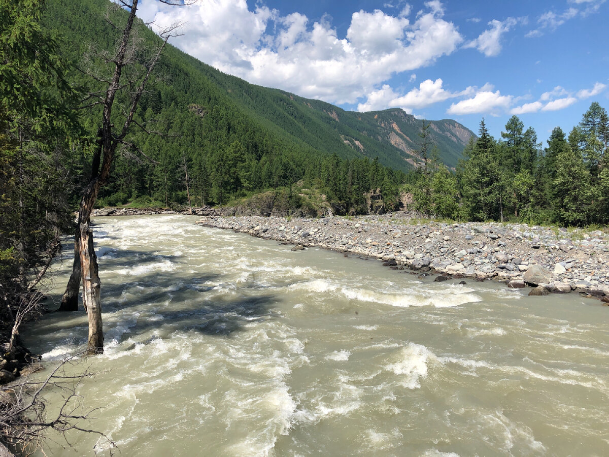 Река Чуя. Фото автора