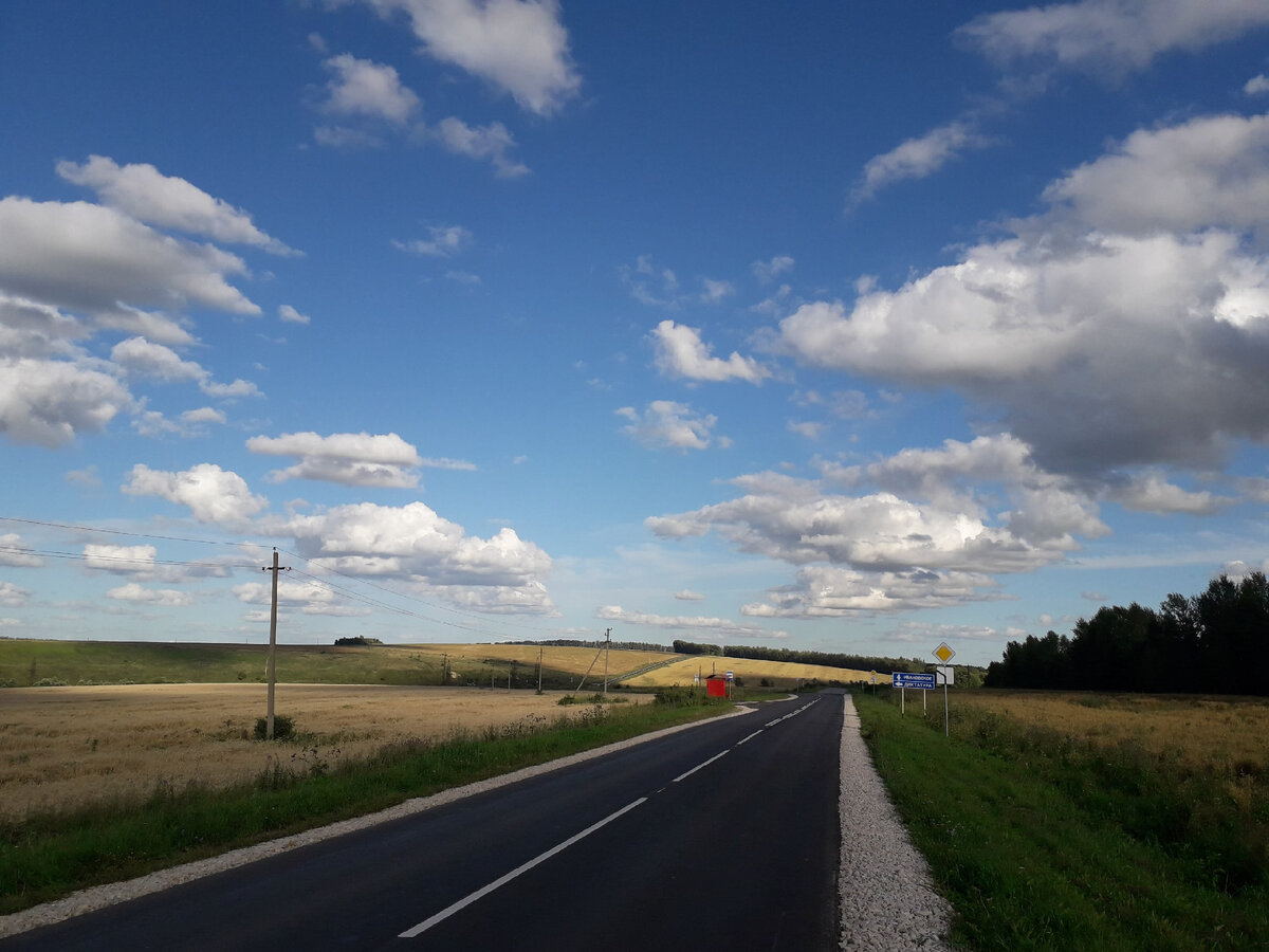 Красоты местной природы