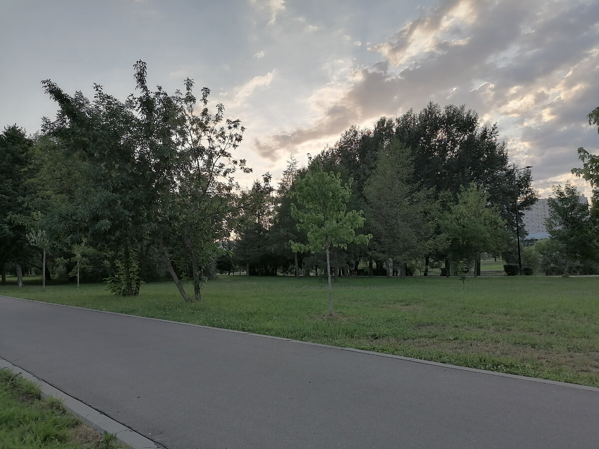 Просто прекрасный вид в парке - прекрасный тем, что снова можно выходить, и выходить без страха заболеть! 