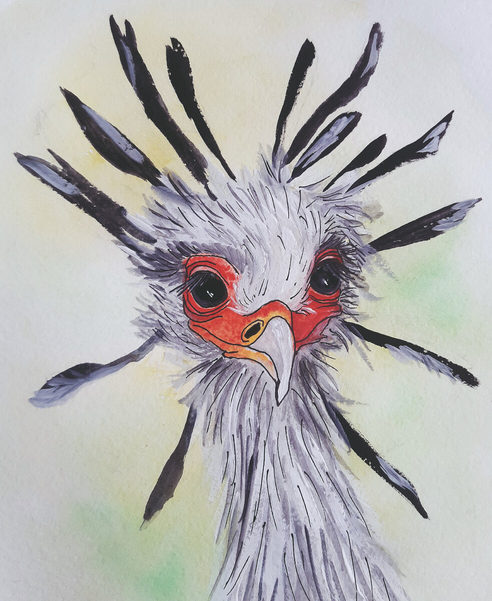 Сегодня нарисуем прекрасную птицу-секретарь. Подготовьте синтетические кисти, акварель и гуашь.