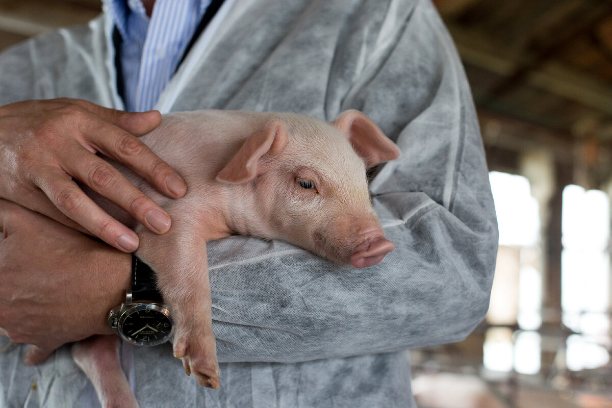 Фото принадлежат автору канала (с)