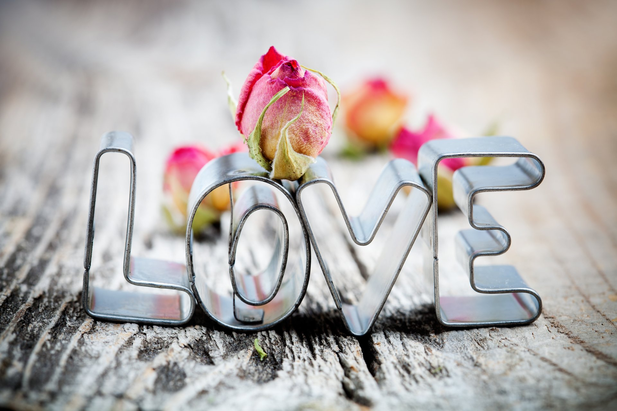 Яндекс Картинки