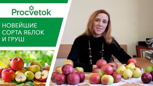 Будьте в курсе! Новейшие сорта яблонь и груш белорусской селекции ...
