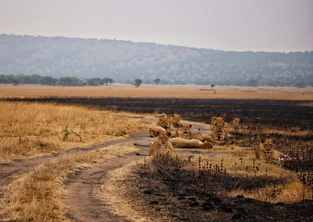 Все фото автора 