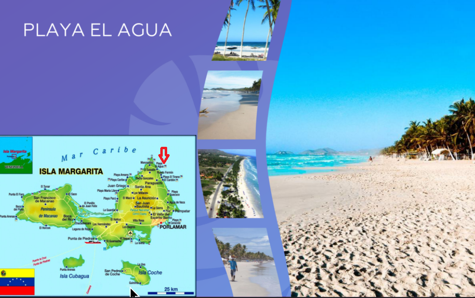 Скрин картинки с вебинара Пегас Туристик