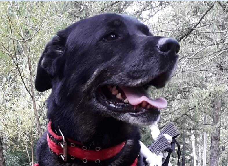 Богор, фото из социальной сети