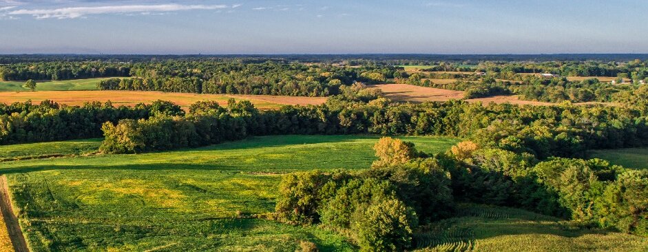 фото: iStock.com