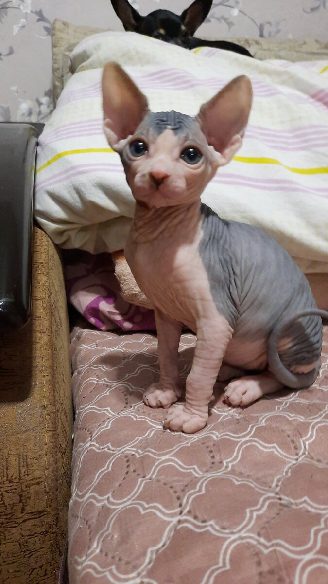 Авторское фото 