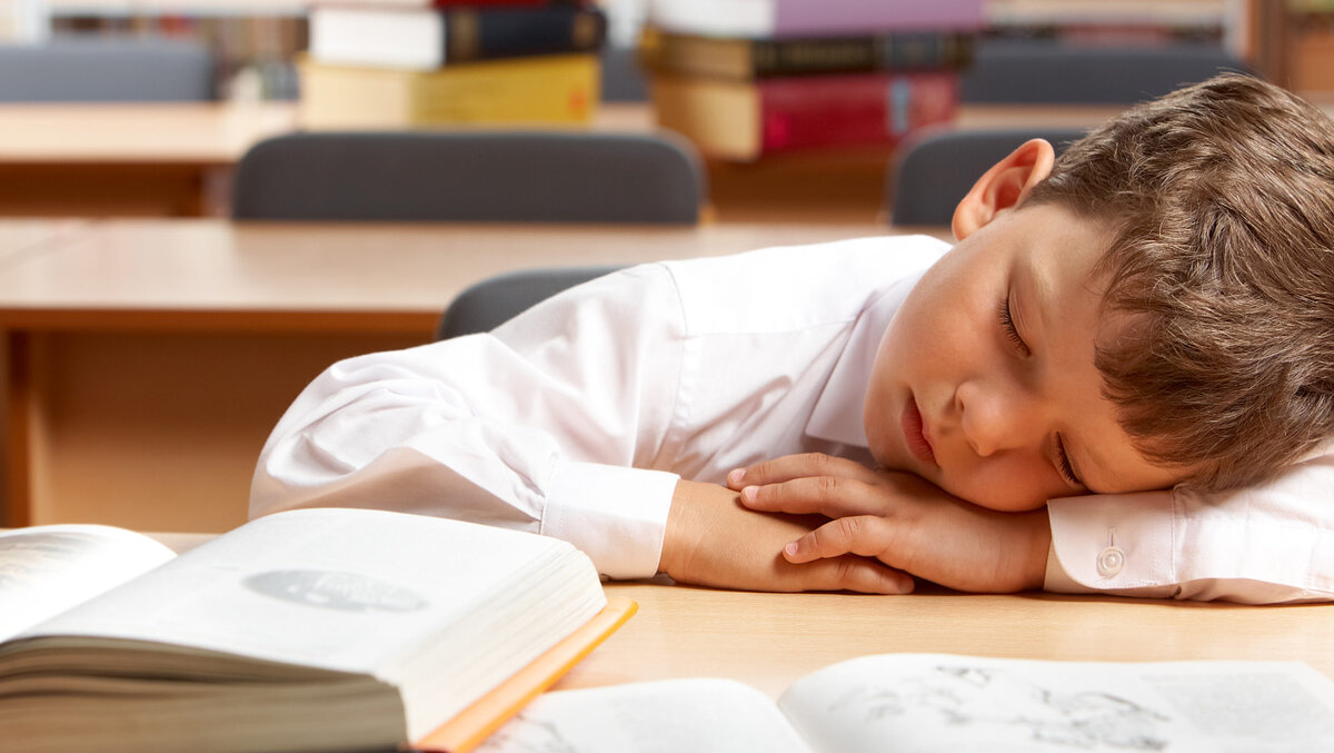 Фото с сайта: https://clck.ru/YGypd