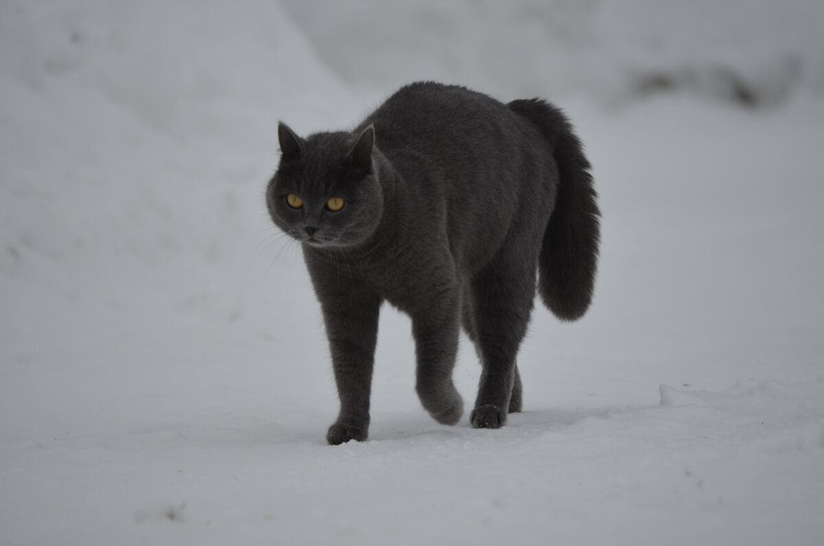Дуся. Фото автора