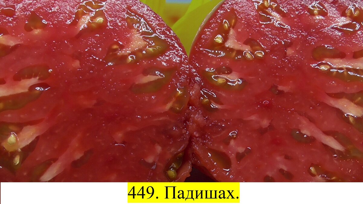 -26