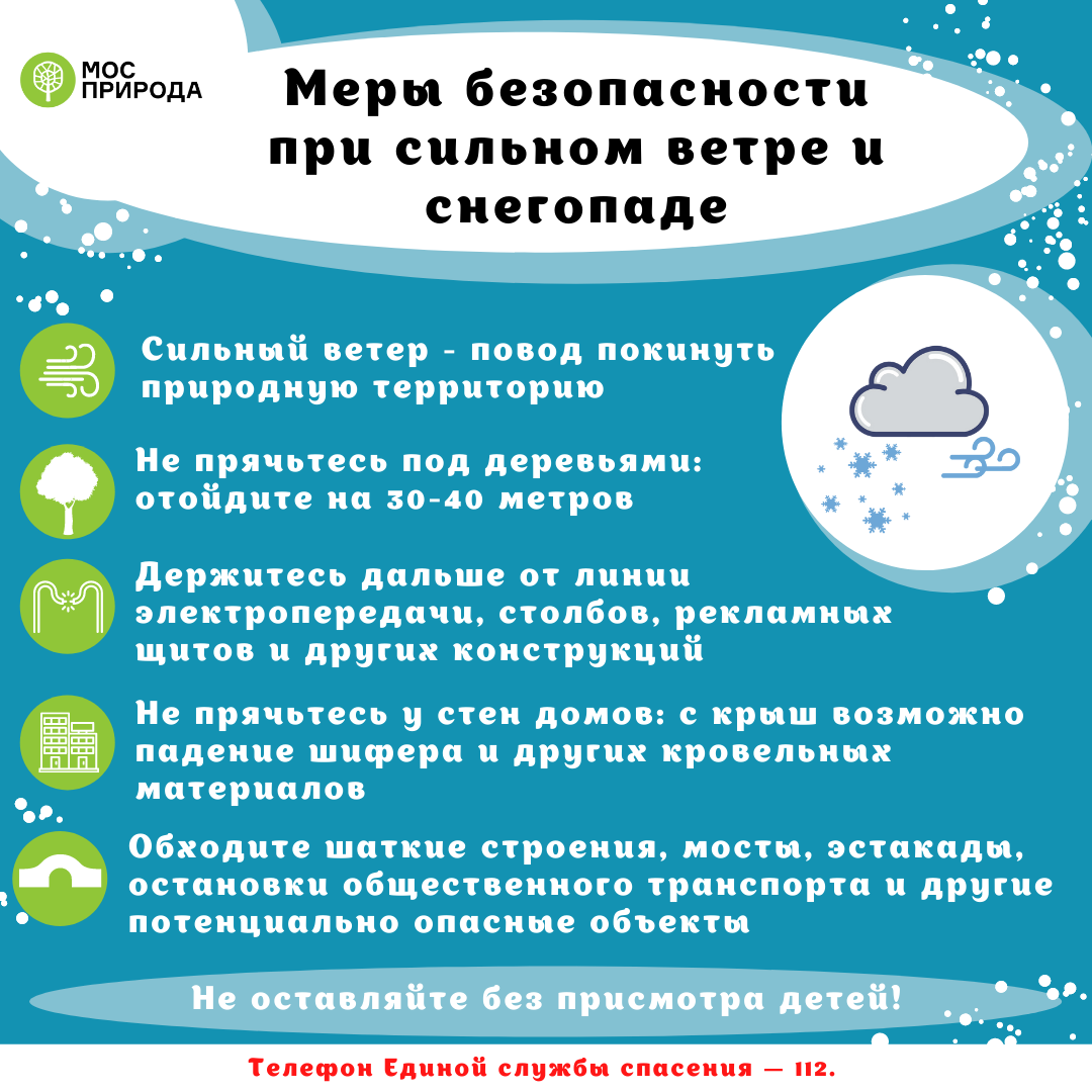 Берегите себя и природу: Мосприрода напоминает правила поведения на особо  охраняемых природных территориях | Природа Москвы | Дзен