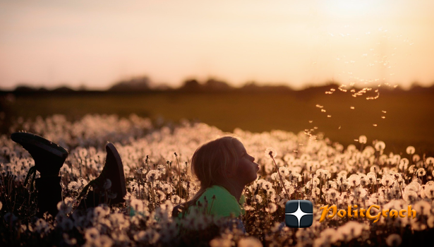 Изображение от jplenio из Pixabay. Бесплатно для коммерческого использования