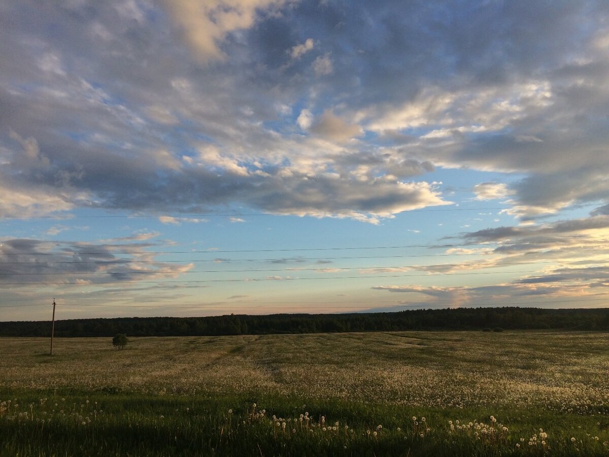 память поля фото