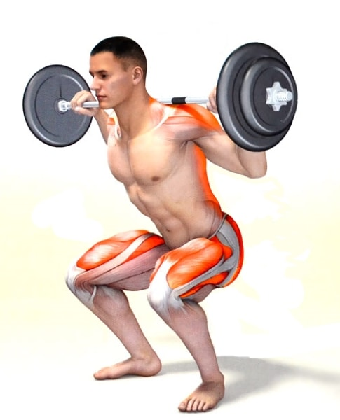 Приседания со штангой работающие мышцы. Присед со штангой на плечах мышцы. Приседания со штангой на плечах мышцы. Фронтальные приседания со штангой какие мышцы. Мышцы задействованные при приседании со штангой.