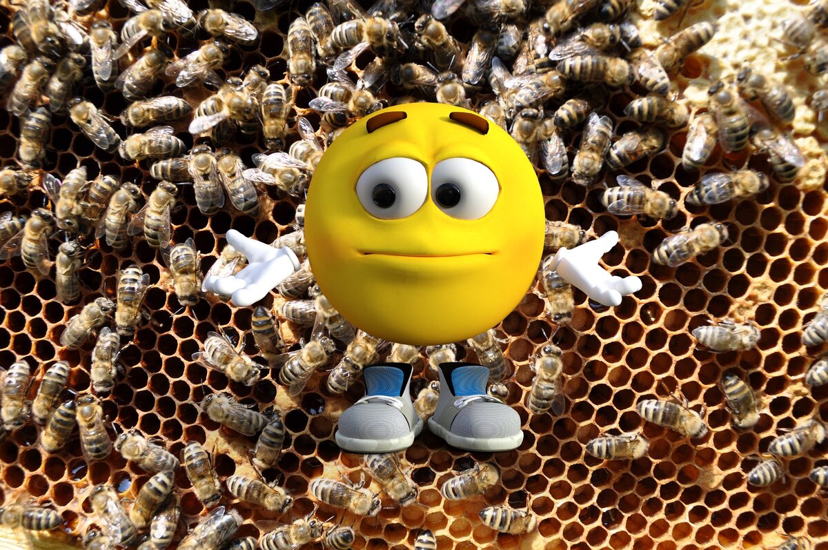 украшения на тему пчелы. однодневный расплод как выглядит фото. клещ варроа якобсон. медоведение. витамины в баночке.