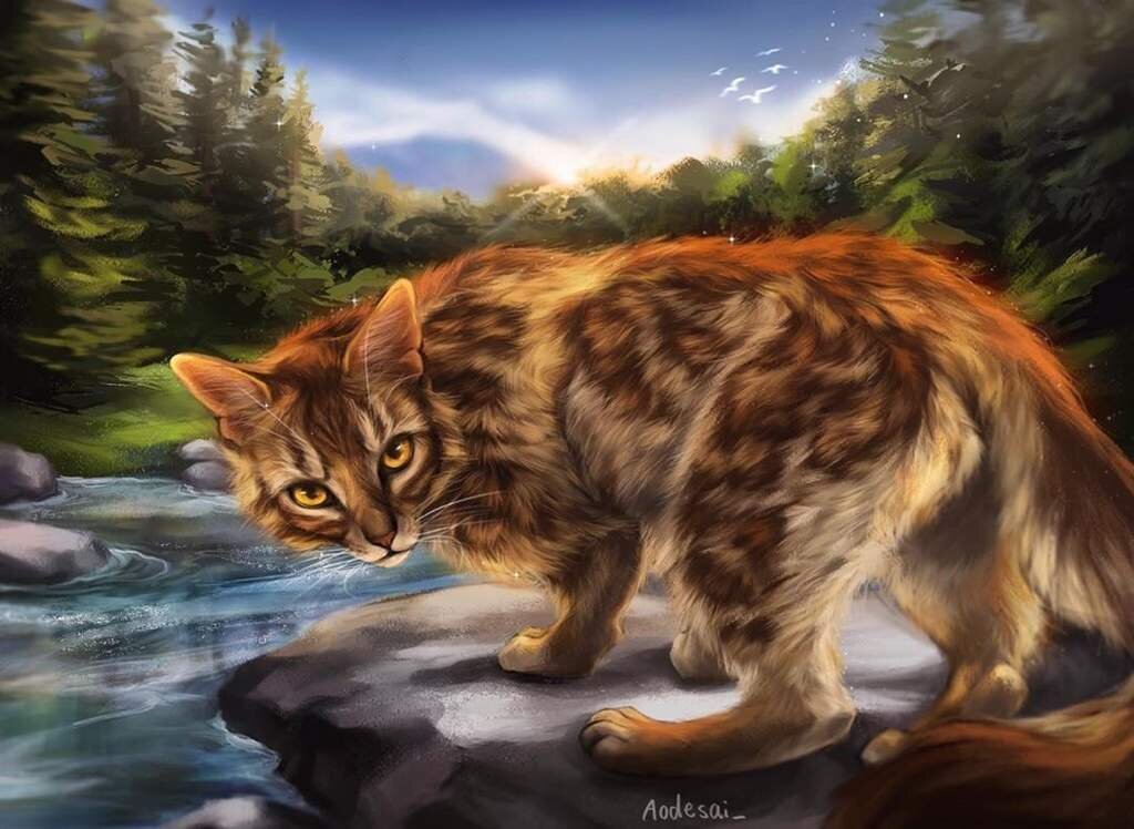 Из открытых источников