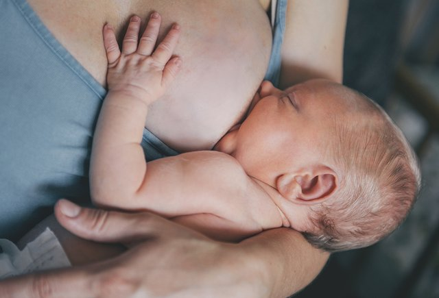 Изображение на обложке: Shutterstock / Romanova Anna 