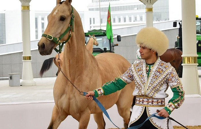 Туркменский дестерхан