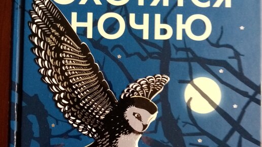 Аудиокнига подлец слушать. Рик Джойнер книги. Пророческие истории. Пророческая обложка. Картинка к книге Рик Джойнера последний поход.