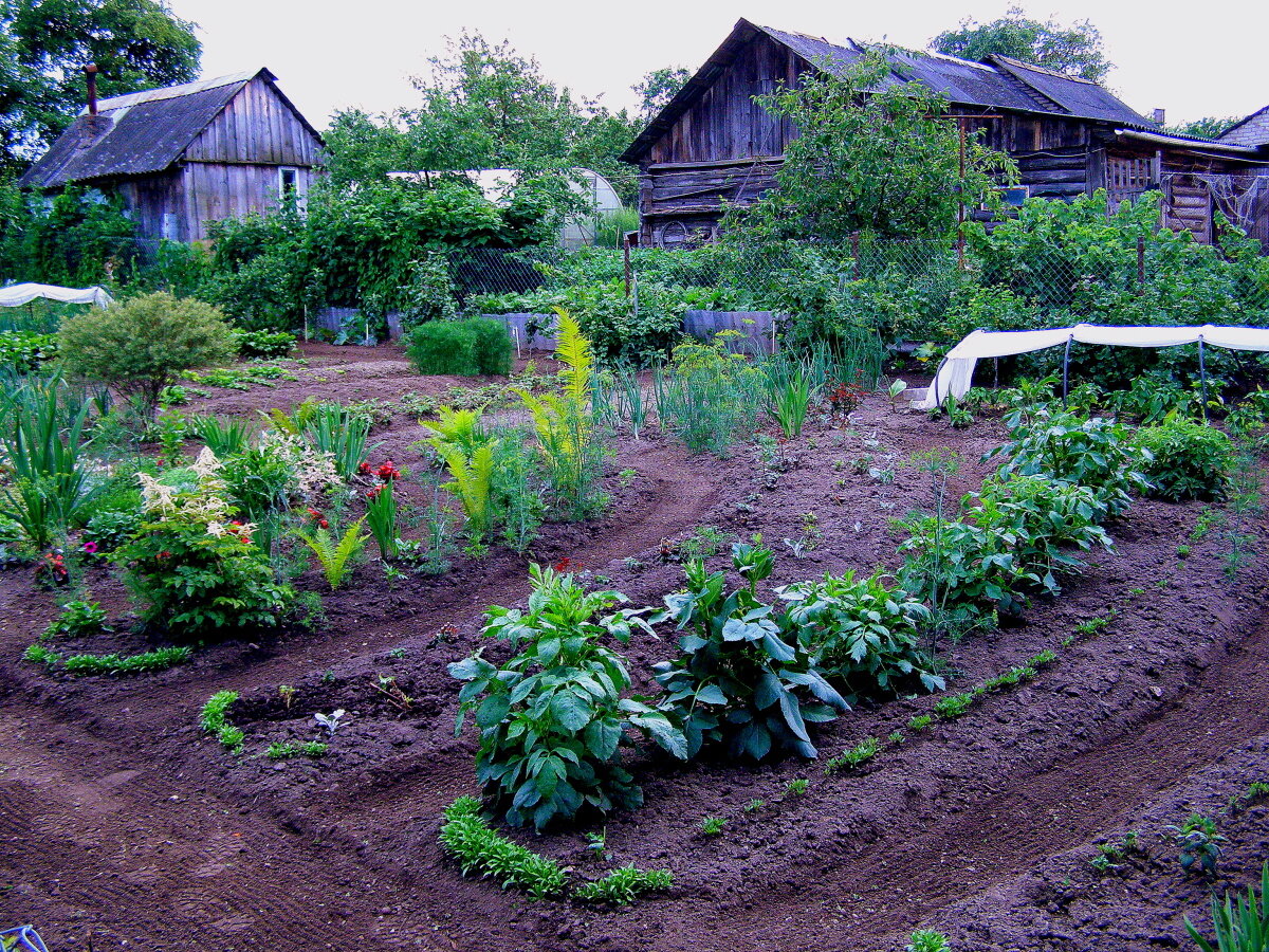 Фото из инета