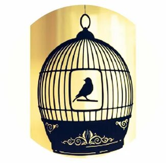 Яндекс картинки