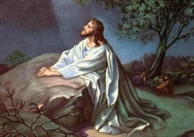 Картинка из Яндекса