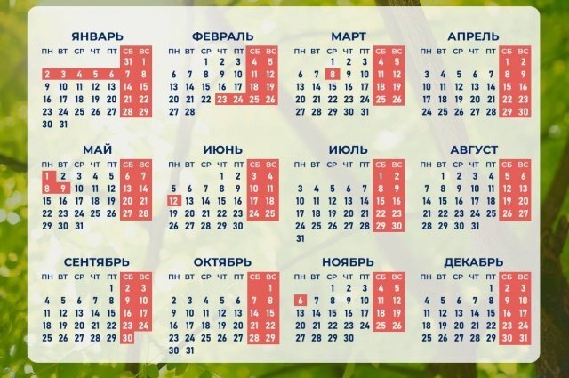    Как отдыхаем в 2023 году?