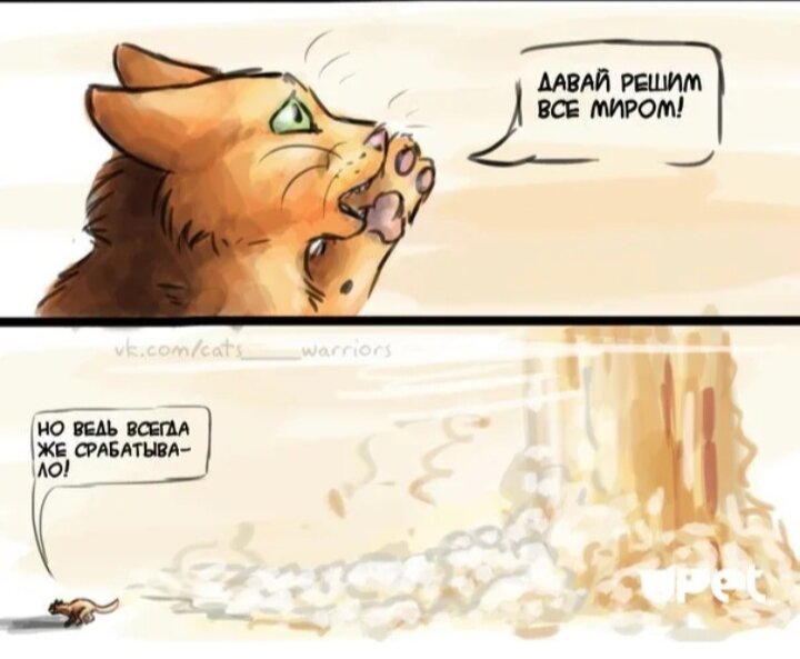 Мемы с котами воителями Рубрика "Задай вопрос персу КВ!" и не множко мемасиков) 