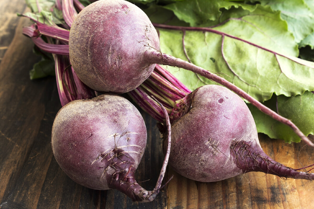 Свекла ответит на многие вопросы