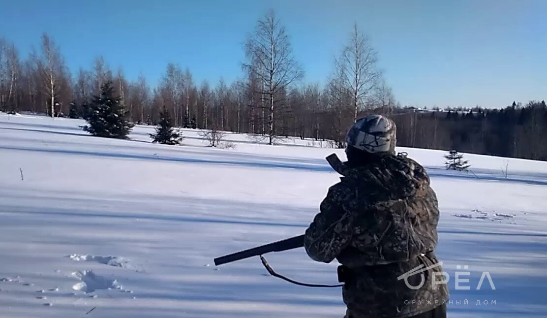 Охота на лунках