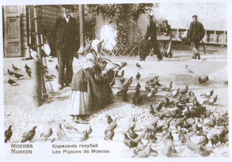 "Москва. Кормление голубей". Открытка 1990 года.