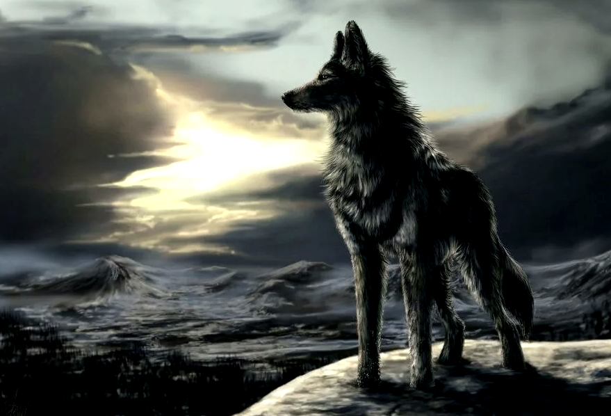 Одинок, как волк. Зато трезв :)