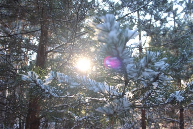    Когда будет День зимнего солнцестояния в 2022 году?